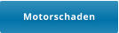 Motorschaden